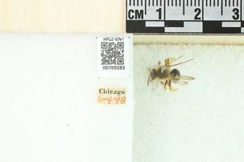 Media type: image;   Entomology 769283 Aspect: Labels
